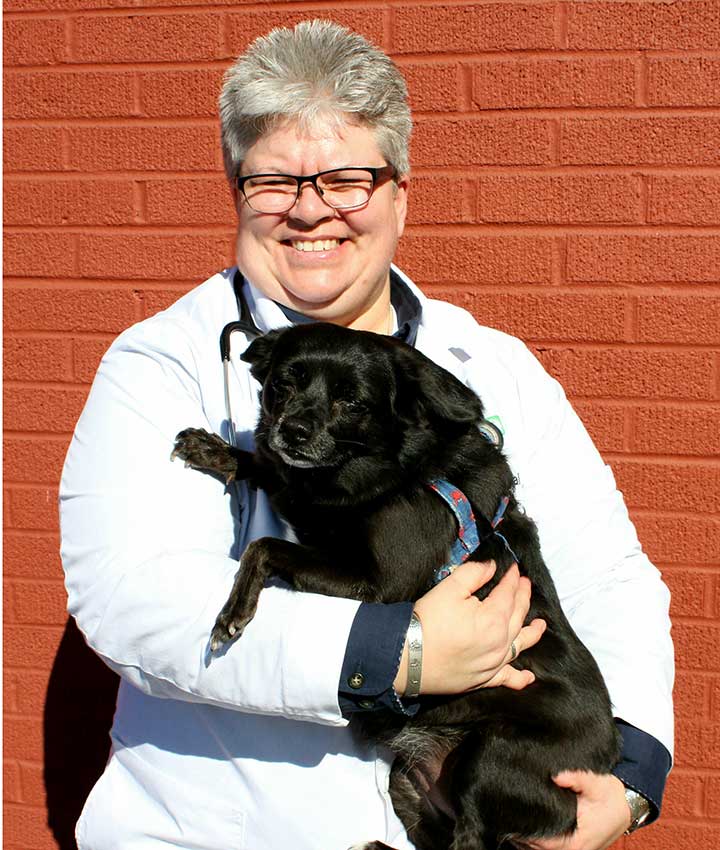 Dr. Cindy Makofski, DVM